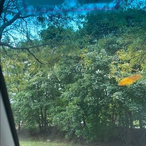 Meet your Posher, Janine